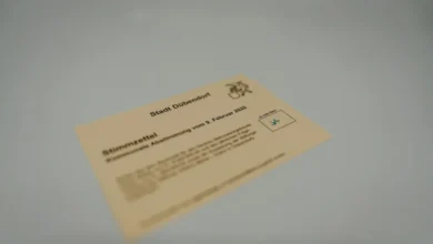 How Businesses Can Verify SSNs to Ensure Identity Authenticity